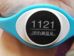 -仁爱团泊湖温泉中心
