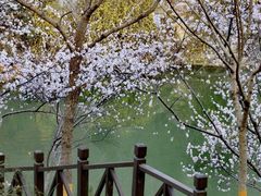 -北宫国家森林公园