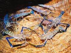 -79号渔船海鲜饭店(华强北店)