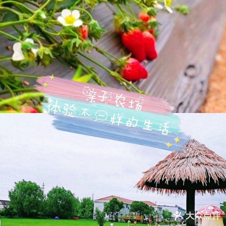 春天到了🌸带着孩子一起去亲近大自然吧[吐][吐]
