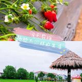 春天到了🌸带着孩子一起去亲近大自然吧[吐][吐]