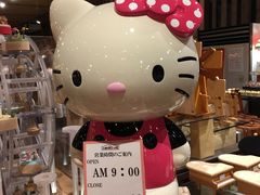 -小樽八音盒堂(手工制作体验馆店)