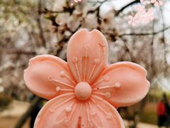 -桃花堤公园