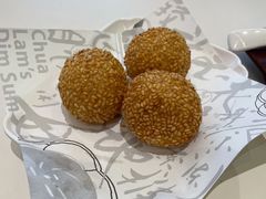 海鸭蛋流沙丸子-蔡澜点心·粤菜(月星环球港店)