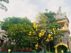-史努比缤纷世界