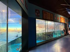 -海合安武汉极地海洋公园