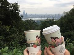 -茶颜悦色(岳麓山顶店)