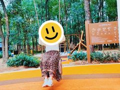 -东湖落雁景区