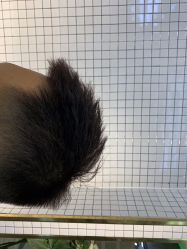 -慕名造型