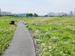 -洋湖国家湿地公园
