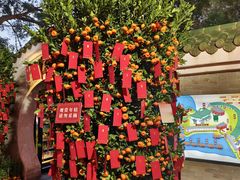 -侨美·唐荔园·40年地道粤菜