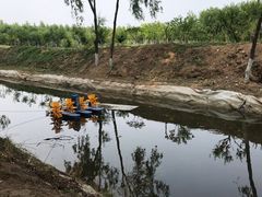-东郊湿地公园