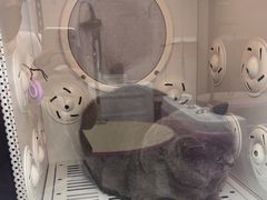 -FAELING PETS美天灵宠物(富力广场店)