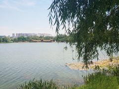 -洛龙公园