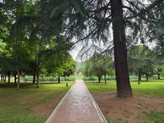 -河南省黄河迎宾馆