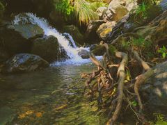 -石台牯牛降景区