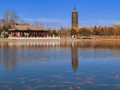 -西海子公园