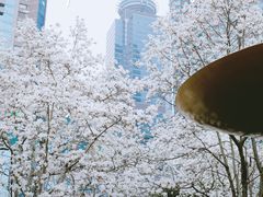 -陆家嘴中心绿地