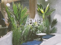 -SENTEA森茶(麦地丽日店)