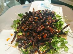 -贵州大厦贵州厅(樱花园西街店)