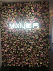 -谜秀专业半永久纹眉纹绣美瞳线洗眉