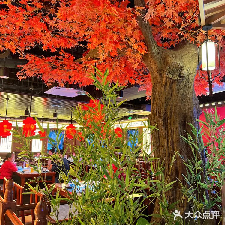 陕西菜的shou选遇见长安终于来深圳啦‼️