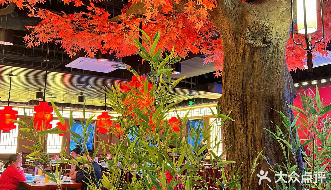 陕西菜的shou选遇见长安终于来深圳啦‼️