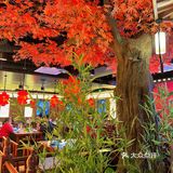 陕西菜的shou选遇见长安终于来深圳啦‼️