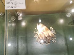 -石林冰雪海洋世界