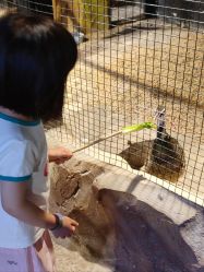 -酷嗒动物文化乐园(cutezoo西溪乐天城店)