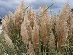 -漩门湾国家湿地公园