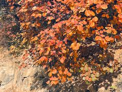 -北京西山国家森林公园