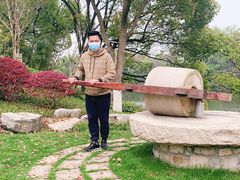 -长田漾湿地公园