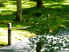 -三千院