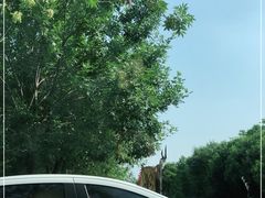 -呀路古热带植物园