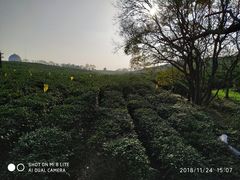 -南京市江宁方山