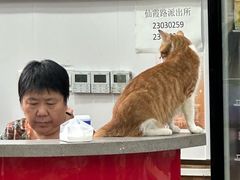 -珊珊小笼馆(仙霞路店)