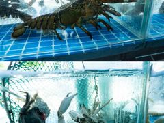 -鑫渔港海鲜本地菜·山海关浑锅(东戴河店)