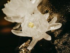 -上海琉璃艺术博物馆