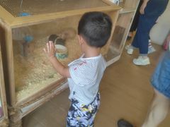 -珠海海泉湾神秘岛亲子乐园