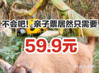 不会吧！亲子票居然只需要59