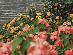 -人民公园(罗湖区)