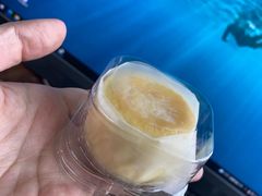 -好利来(熙地港店)