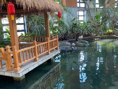 -南宫五洲植物乐园