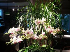 -春暖花开(西溪店)