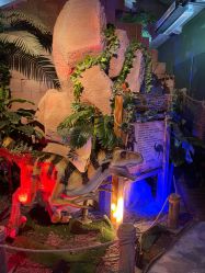 -恐龙探索乐园(磁器口店)