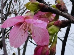 -艾溪湖湿地公园