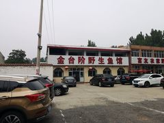 -金台阶鱼馆(于桥水库店)
