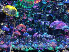 -天津梵高星空艺术馆(天河城旗舰店)