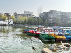 -莲湖公园